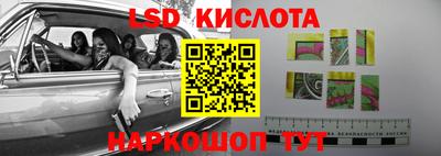 эйфоретик Шебекино
