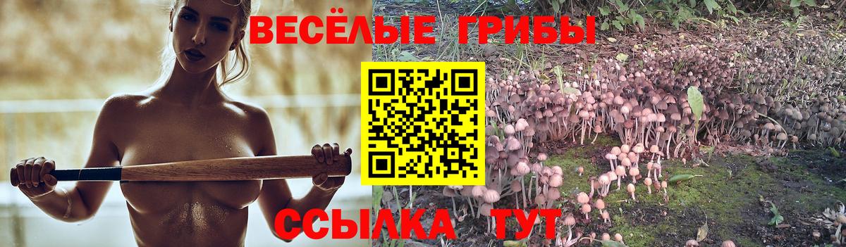 Аргун  Псилоцибиновые грибы прущие грибы  магазин продажи   Вход с VPN 