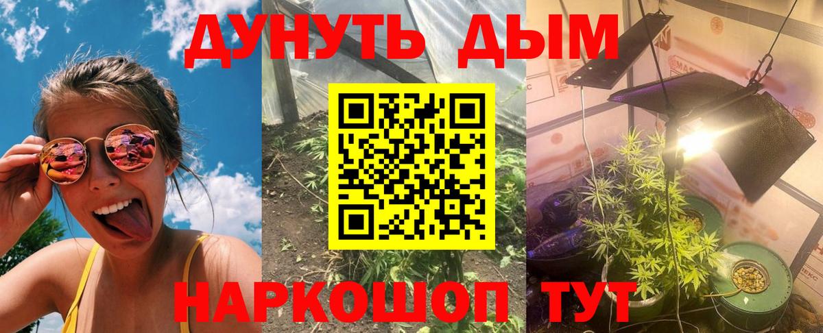 Бошки марихуана конопля Аргун